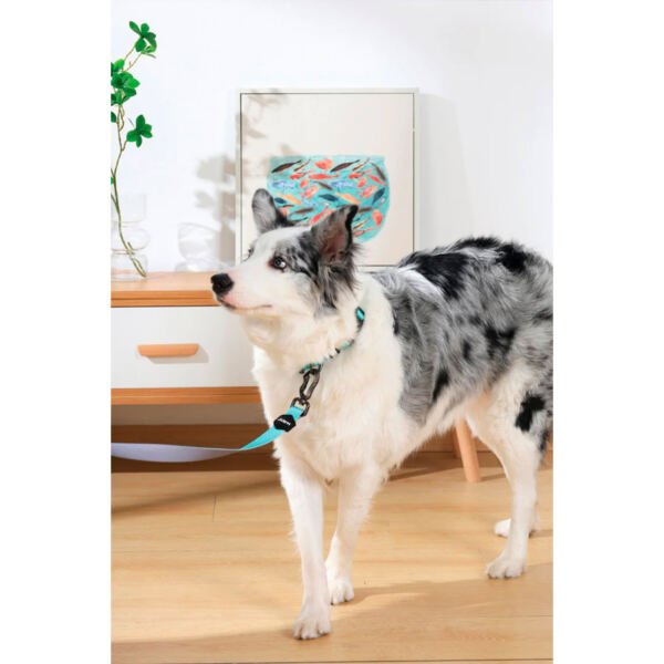 M-Pets Gentle Dog Correa - Accesorio para Perro