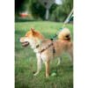M-Pets Urban Style Arnés - Accesorio para Perro