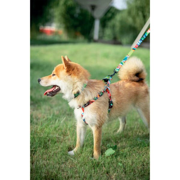 M-Pets Urban Style Arnés - Accesorio para Perro