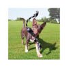 035585356419_3 Kong Extreme Dental con Cuerda - Juguete para Perro