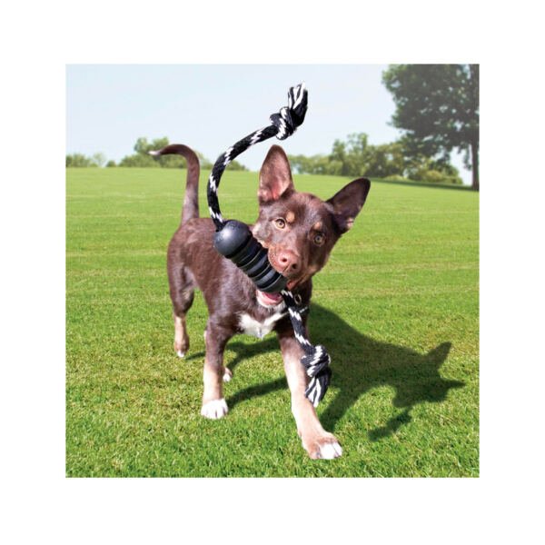 035585356419_3 Kong Extreme Dental con Cuerda - Juguete para Perro