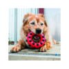 035585401034_2 Kong Dotz Circle - Juguete para Perro