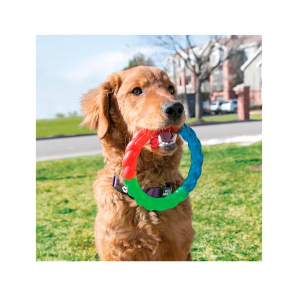 035585494074_3 Kong Twistz Ring - Juguete para Perro