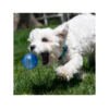 Kong Squezz Geozd 2 Balls - Juguete para Perro