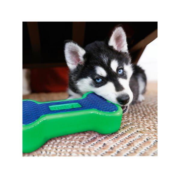 Kong Eon Hueso - Juguete para Perro