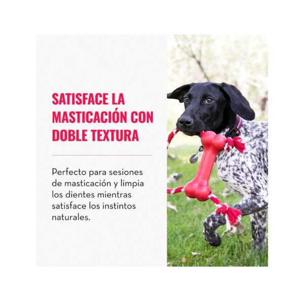 035585780009_3 Kong Goodie Bone Hueso - Juguete para Perro