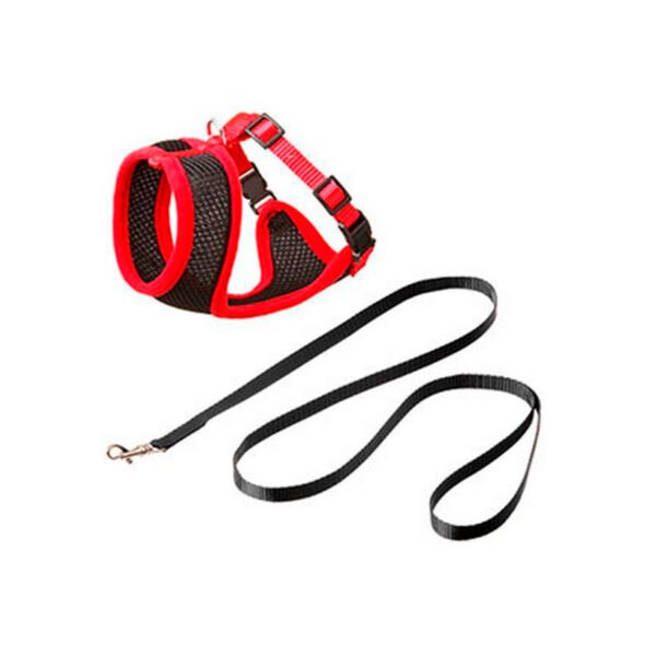 5415245152301 Flamingo Arnés con Correa Harms - Accesorio para Perro y Gato