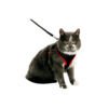 5415245152301_1 Flamingo Arnés con Correa Harms - Accesorio para Perro y Gato