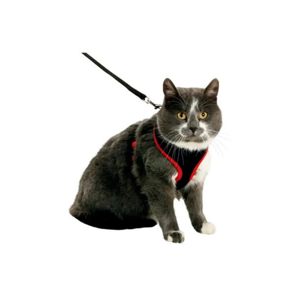 5415245152301_1 Flamingo Arnés con Correa Harms - Accesorio para Perro y Gato