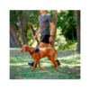 649510057816_3 Rogz Cable Múltiple Grande Airtech - Accesorio para Perro