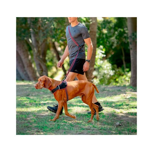649510057816_3 Rogz Cable Múltiple Grande Airtech - Accesorio para Perro