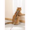 Tramp UrbanStyle Arnés y Correa - Accesorio para Gato