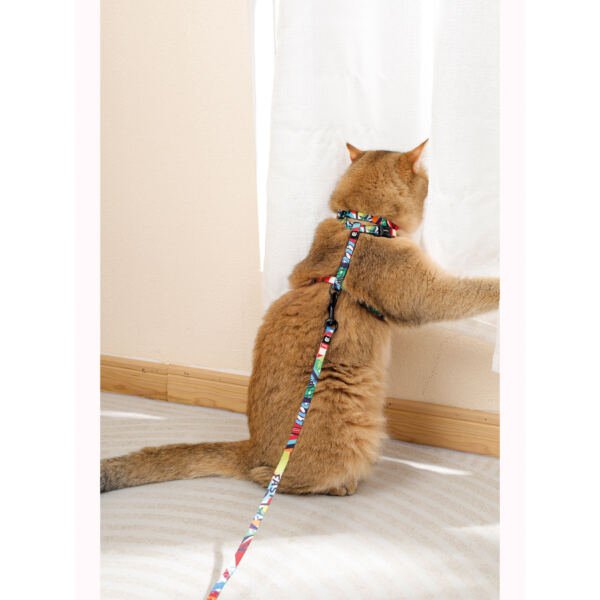 Tramp UrbanStyle Arnés y Correa - Accesorio para Gato