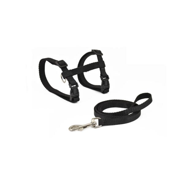 8427458028349 Nayeco Arnés y Correa Basic - Accesorio para Gato