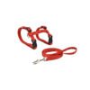 8427458028356 Nayeco Arnés y Correa Basic - Accesorio para Gato