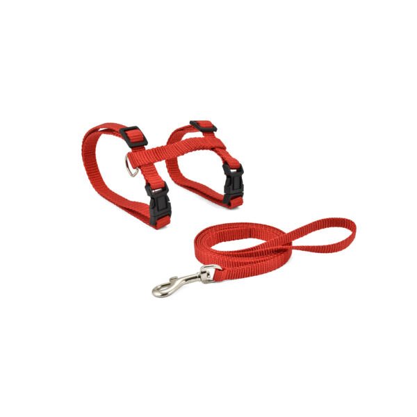 8427458028356 Nayeco Arnés y Correa Basic - Accesorio para Gato