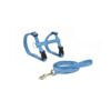 8427458028363 Nayeco Arnés y Correa Basic - Accesorio para Gato