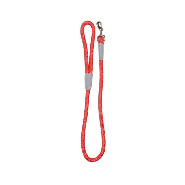 8427458823470 Nayeco Correa Dynamic - Accesorio para Perro