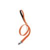Arquivet Correa de Nylon - Accesorio para Perro