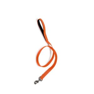 Arquivet Correa de Nylon - Accesorio para Perro