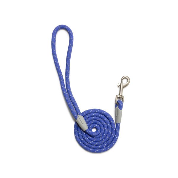 Arquivet Correa Roma - Accesorio para Perro