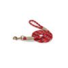 8435117882355 Arquivet Correa Piemonte - Accesorio para Perro