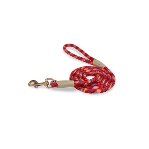 8435117882355 Arquivet Correa Piemonte - Accesorio para Perro