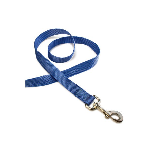 Arquivet Correa de Nylon - Accesorio para Perro