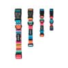 M-Pets Urban Style Collar - Accesorio para Perro