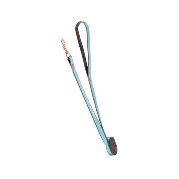 Rogz Urban Classic Correa - Accesorio para Perro