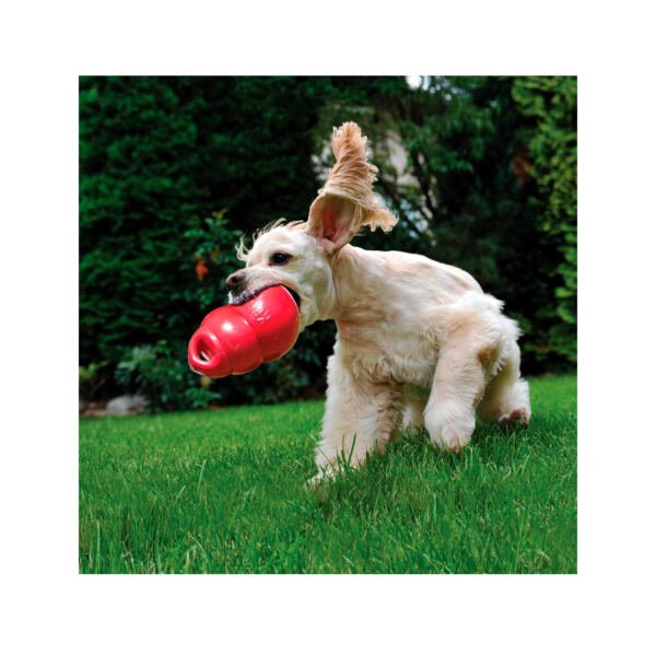035585034041_2 Kong Bounzer - Juguete para Perro