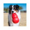 035585034041_3 Kong Bounzer - Juguete para Perro