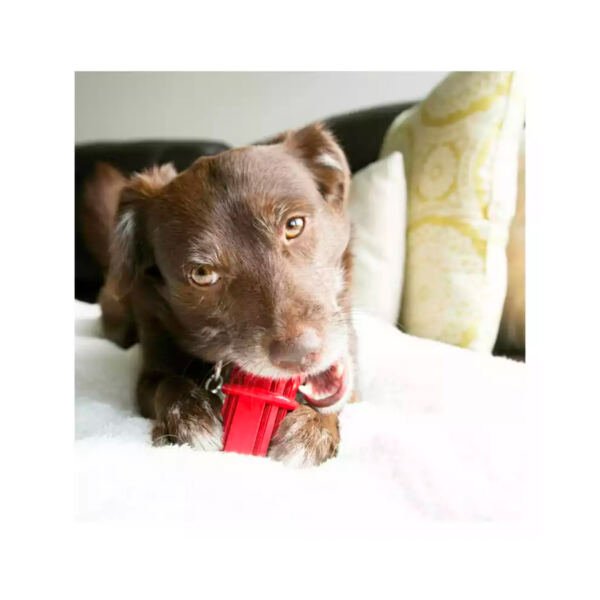 Kong Dental Stick - Juguete para Perro
