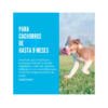 035585131184_3 Kong Puppy Teething Stick - Juguete para Perro