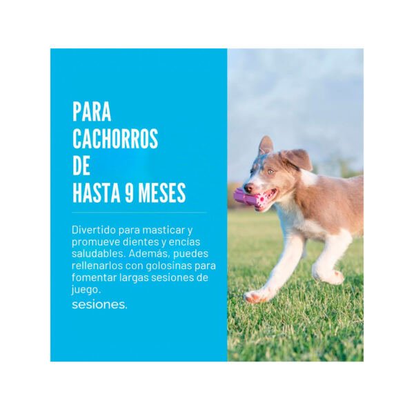 035585131184_3 Kong Puppy Teething Stick - Juguete para Perro