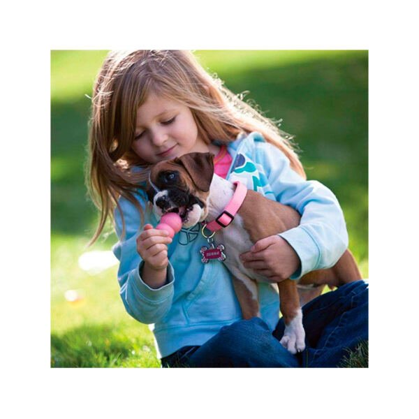 035585131313_4 Kong Puppy - Juguete para Cachorro