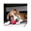 Kong Stuff Ball - Juguete para Perro