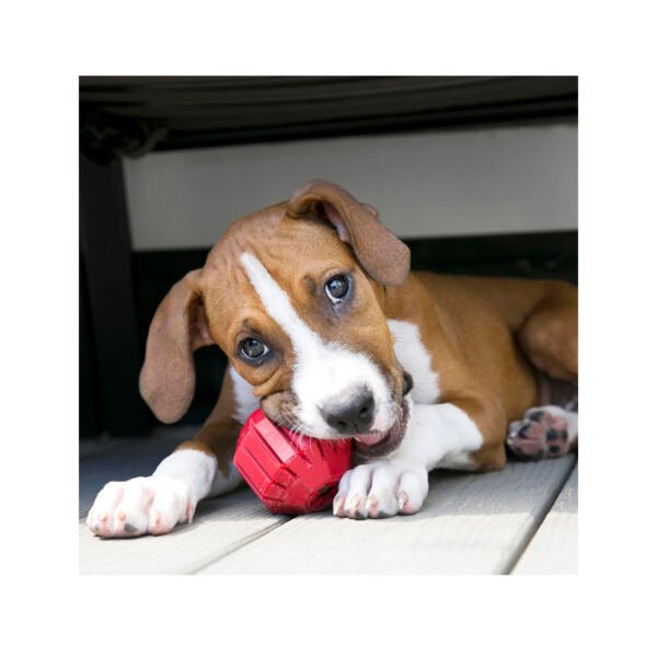 Kong Stuff Ball - Juguete para Perro