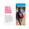 Kong Ball - Pelota para Perro