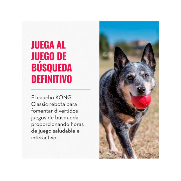 Kong Ball - Pelota para Perro