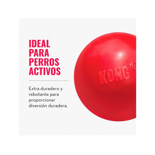 Kong Ball - Pelota para Perro