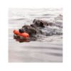 035585299006_2 Kong Training Dummy - Juguete para Perro