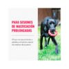 Kong Ring - Juguete para Perro