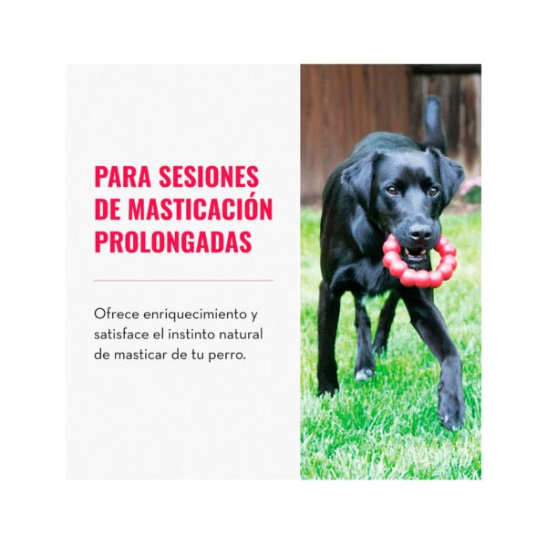 Kong Ring - Juguete para Perro