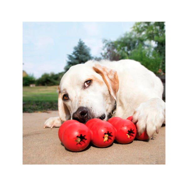 035585356266_3 Kong Goodie Ribbon - Juguete para Perro