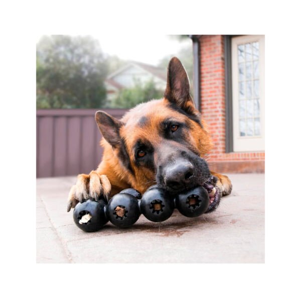 035585356396_3 Kong Extreme Goodie Ribbon - Juguete para Perro