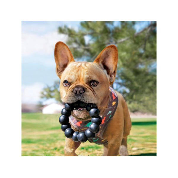 Kong Ring Extreme - Anillo para Perro