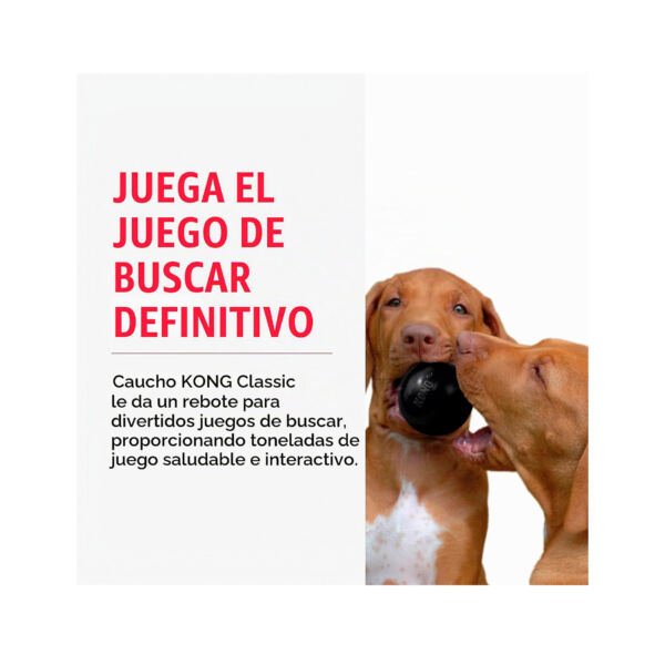 035585356730_3 Kong Extreme Pelota - Juguete para Perro