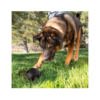 035585356730_4 Kong Extreme Pelota - Juguete para Perro