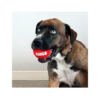 035585503189_4 Kong Pelotas Sport Signature - Juguete para Perro